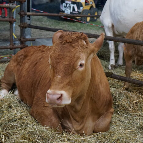 Festa di Pensionamento 25/01/2025